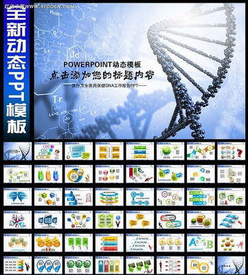 dna���ӵĽṹppt ppt