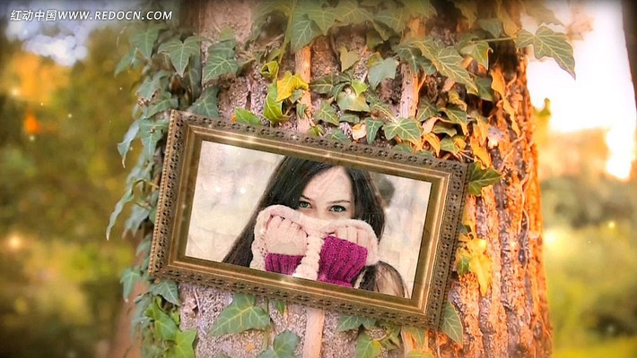 Ψ��ʵ�����Ϲҿ��ּ�ͥ���AEģ�� aep