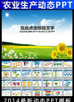 ũҵˮũ彨趯̬PPT ppt