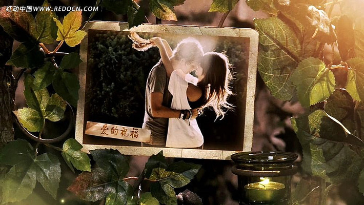 ���ܻ�԰ʵ�Ļ������AEģ�庬���� aep