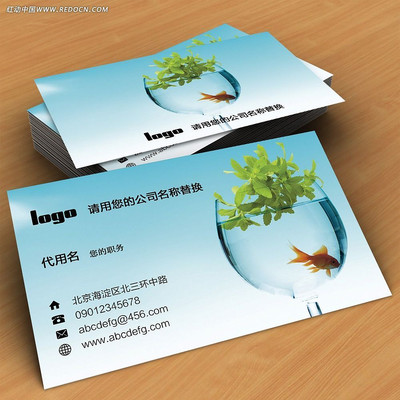 ����������Ƭ