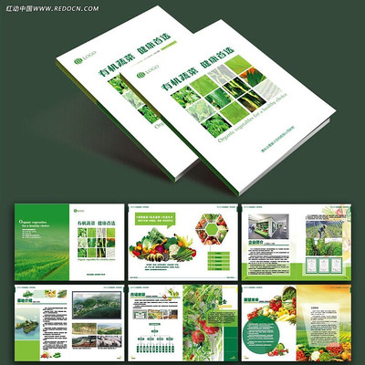 �л��߲�������