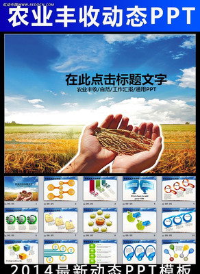 ũҵˮũ彨趯̬PPT ppt