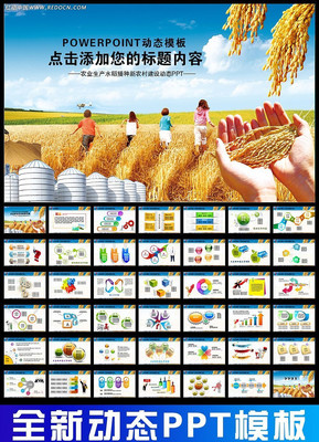 ũҵˮũ彨趯̬PPT ppt