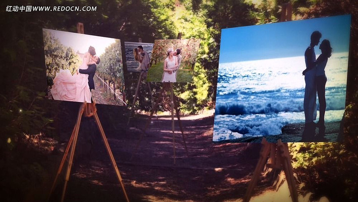 ���ص�ɭ������ʵ�Ļ������ ������ aep