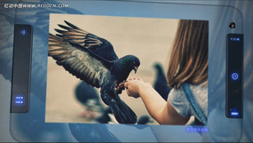 �������ģ��