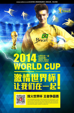 2014�������籭�������