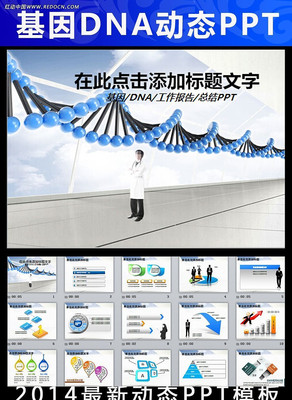 ����DNAҽ��ҽѧҽҩ��̬PPTģ�� ppt