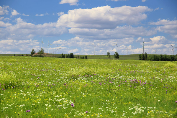 ���ɴ������ԭ����