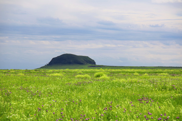 ���ɴ������ɽ��ԭ����