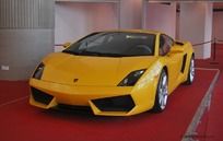 ��������(��ɫ)