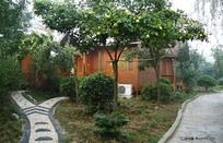 ���ձ���