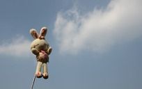 ���ǵĻ���