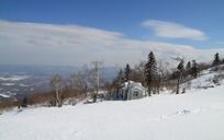 ǲѩ