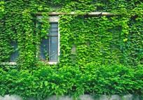 ���̵���ɽ��