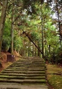ɽ������С·