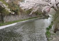 ����ӣ����