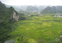 ��ɫ����