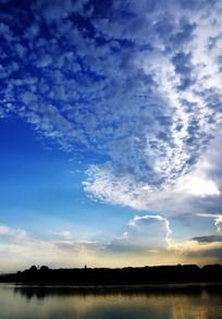 �����Ʋ�