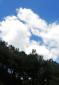 ��������µ�����