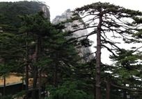 ��ɽ������������