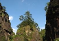 ����ɽ��