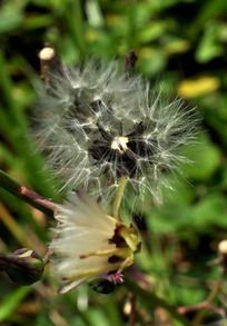 ë���޵Ļ�������