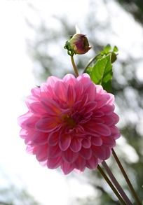 ��ɫ�Ĵ�����