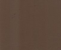 ��ɫ����