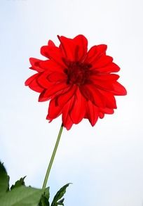 �ߴ�ͦ�εĴ�����