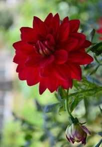 �������εĴ�����