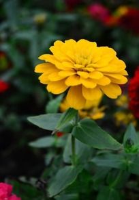 �����Ļ�ɫ���ղ�