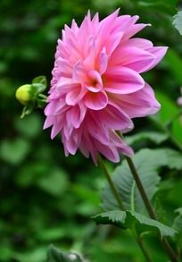 ��ȶ��˵Ĵ�����