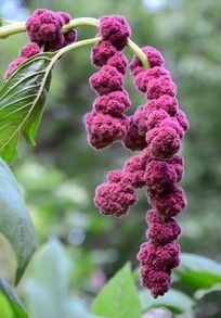 ���򻨻���