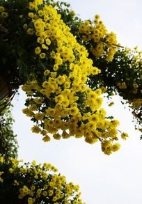 �������͵ر���