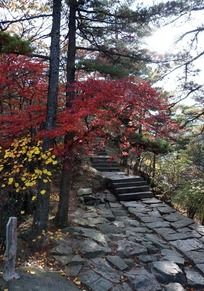 ��ɽʯ��ɽ·