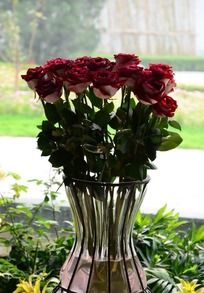 ��ƿ��ʢ����õ�廨