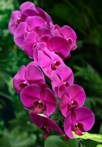  ���ŵĺ�����