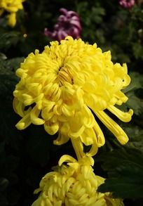 Ӻ�ݻ���Ļ�ɫ���