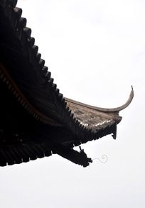 �����µ���ͷ