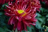 ���������ľջ�