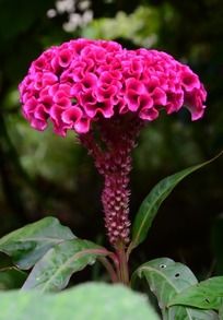 ͤͤ�����ļ��ڻ�