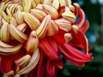 �����ľջ��ֲ���д