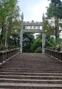 ����԰�Ʒ�