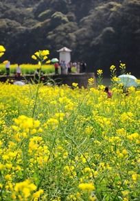 �Ͳ˻����е�����