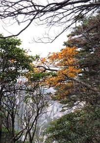 ��ɽ���쾰ɫ