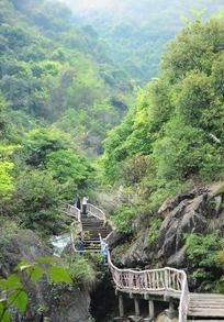 ջ������ľ