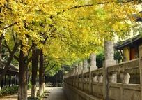 �������������͹���