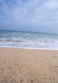 ��ɫ��������