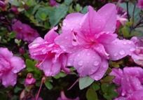 մ��ˮ��Ļ���